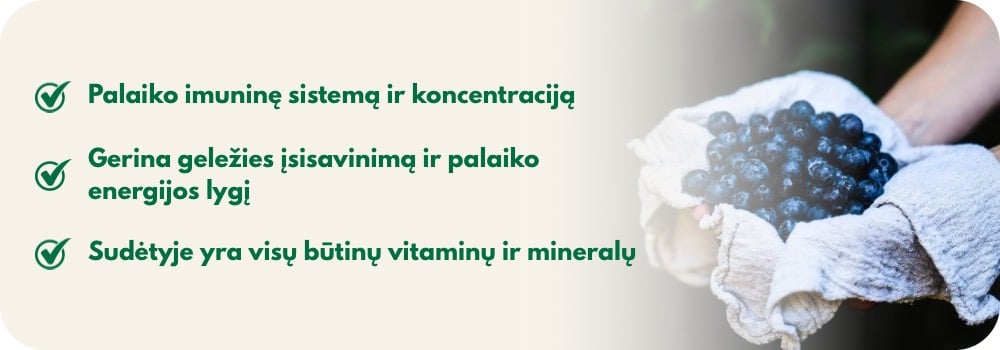 Multivitaminų kompleksas Narosan® Šilauogė, su geležim ir variu