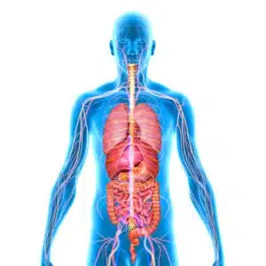 Read more about the article Kaip subalansuoti rūgščių ir šarmų pusiausvyrą?