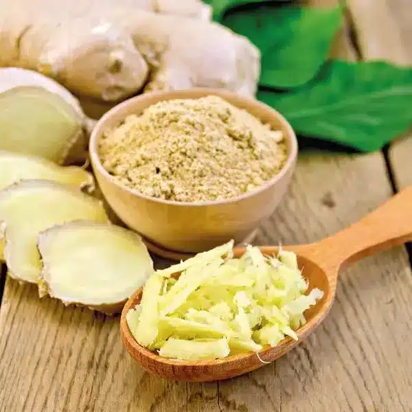 c6218379-0636-4653-b0bc-72b19af2a6da_nahrin-kurkuma-kapseln-inhaltsstoffe-ingwer-extrakt.jpg - Nahrin LT