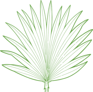 Prostatos kompleksas prostatai - Nahrin LT Prostatos kompleksas prostatai